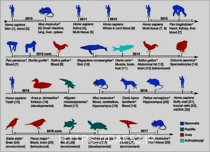 What do animals eat